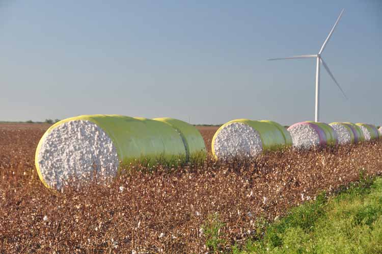 cotton bales